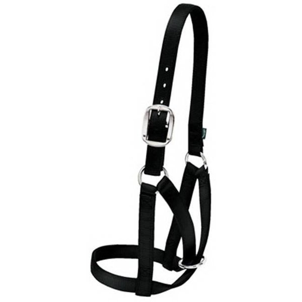 Weaver Leather Weaver Leather 35-8004-BK Medium Cow Barn Halter - Black 154707